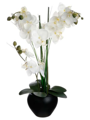 Atmosphera umjetno cvijeće u tegli orhideja 53cm keramika/plastika crna