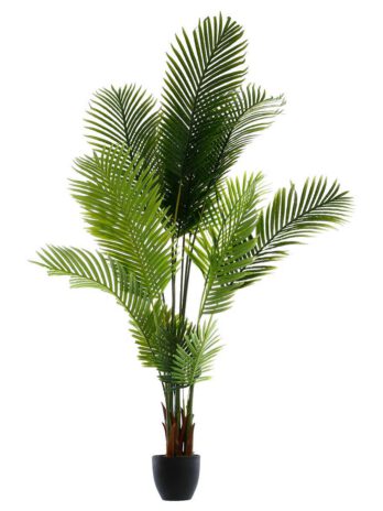 Atmosphera umjetno cvijeće u tegli palma 170cm pe/cement crna