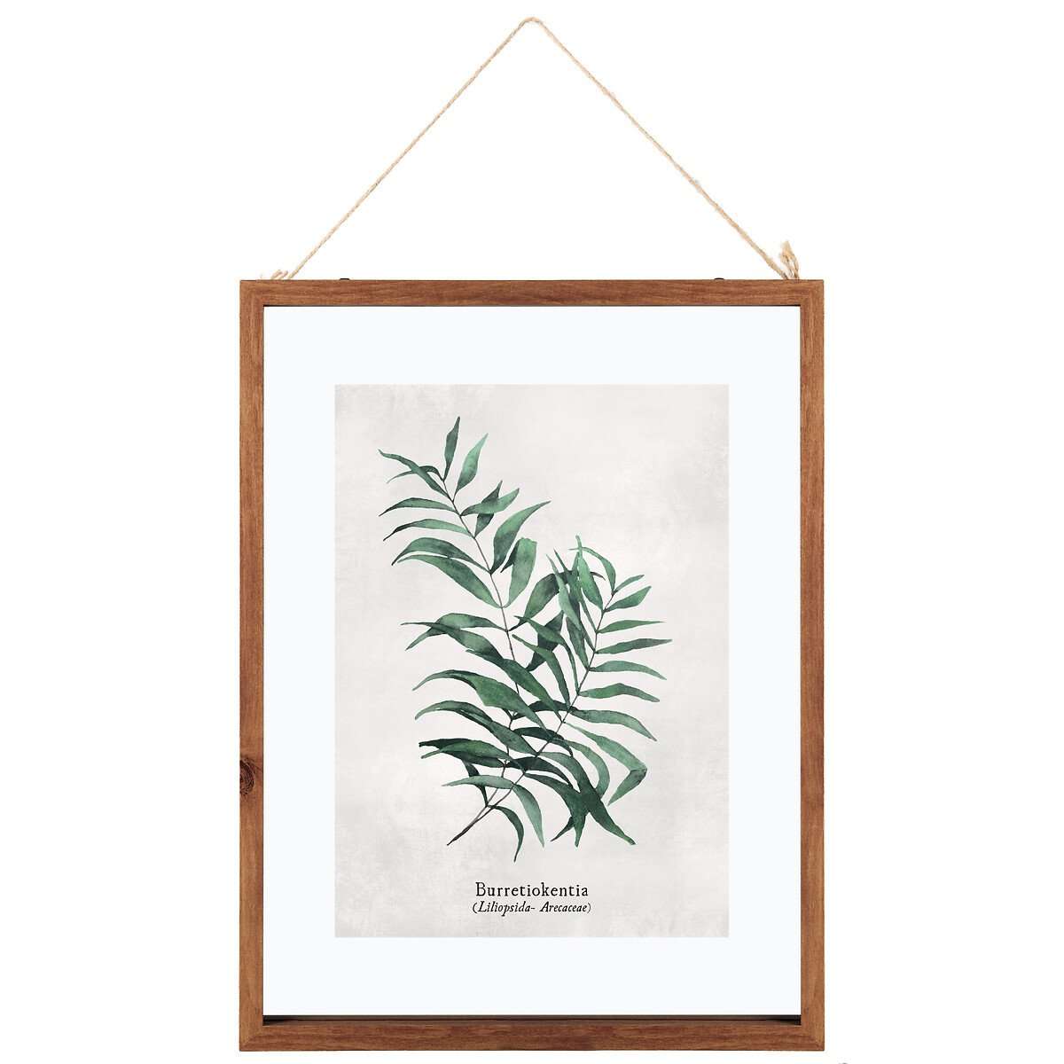 Atmosphera slika u okviru leaves 38x48cm staklo/mdf razne boje - Image 2