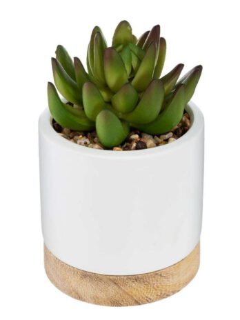 Atmosphera umjetno cvijeće succulent u keramičkoj posudi 12cm