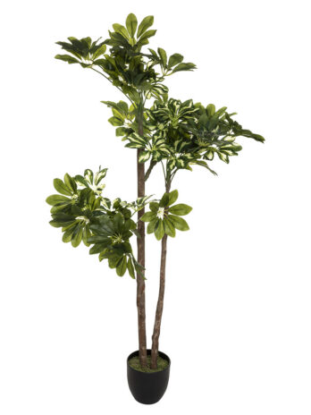 Atmosphera umjetna biljka šeflera 130cm