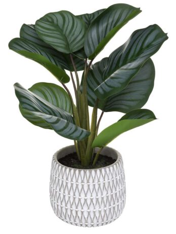 Atmosphera umjetno cvijeće u tegli maranta 45cm eva/cement zeleno