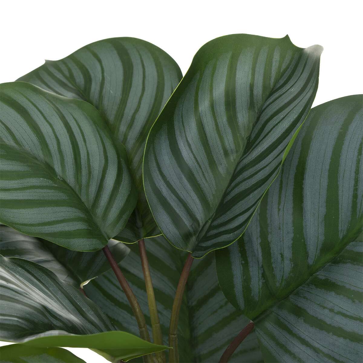 Atmosphera umjetno cvijeće u tegli maranta 45cm eva/cement zeleno - Image 2