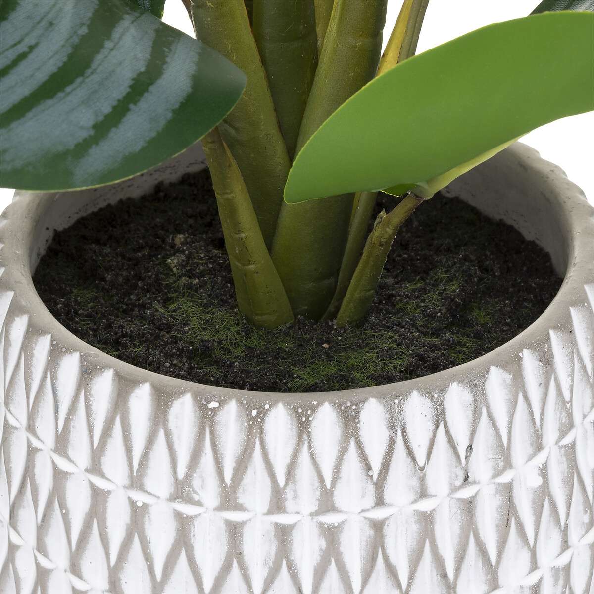 Atmosphera umjetno cvijeće u tegli maranta 45cm eva/cement zeleno - Image 3