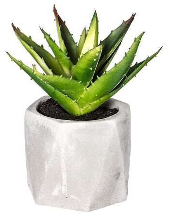 Atmosphera umjetno cvijeće u tegli sukulenti 7x14cm pvc/cement bijela