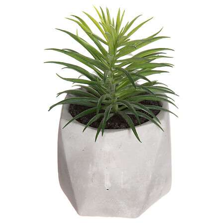 Atmosphera umjetno cvijeće u tegli sukulenti 7x14cm pvc/cement bijela - Image 6
