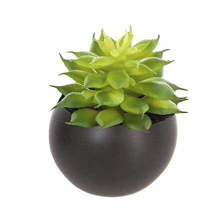 Atmosphera umjetno cvijeće u tegli magnetic 6cm keramika/pe razne boje - Image 5