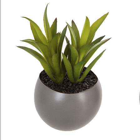 Atmosphera umjetno cvijeće u tegli magnetic 6cm keramika/pe razne boje - Image 6
