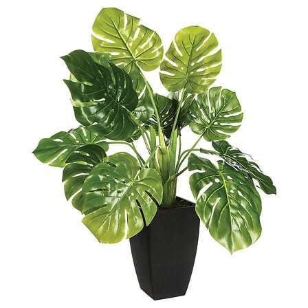Atmosphera umjetna biljka u tegli 70cm cement/pe zeleno - Image 2