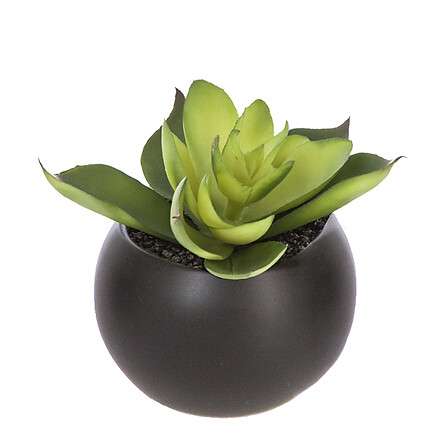 Atmosphera umjetno cvijeće u tegli magnetic 6cm keramika/pe razne boje - Image 3