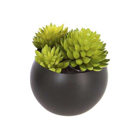 Atmosphera umjetno cvijeće u tegli magnetic 6cm keramika/pe razne boje - Image 4