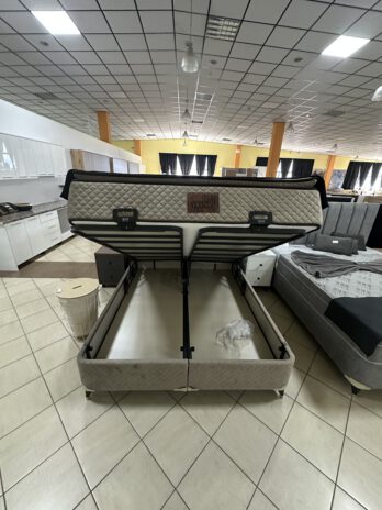 Artikal 29
