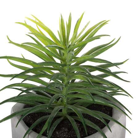 Atmosphera umjetno cvijeće u tegli sukulenti 7x14cm pvc/cement bijela - Image 3