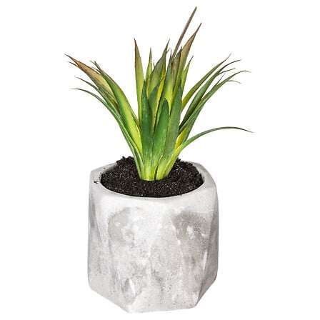 Atmosphera umjetno cvijeće u tegli sukulenti 7x14cm pvc/cement bijela - Image 5