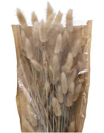 Atmosphera umjetno cvijeće buket bunny tails 58cm sušeno bilje bež