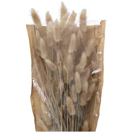 Atmosphera umjetno cvijeće buket bunny tails 58cm sušeno bilje bež